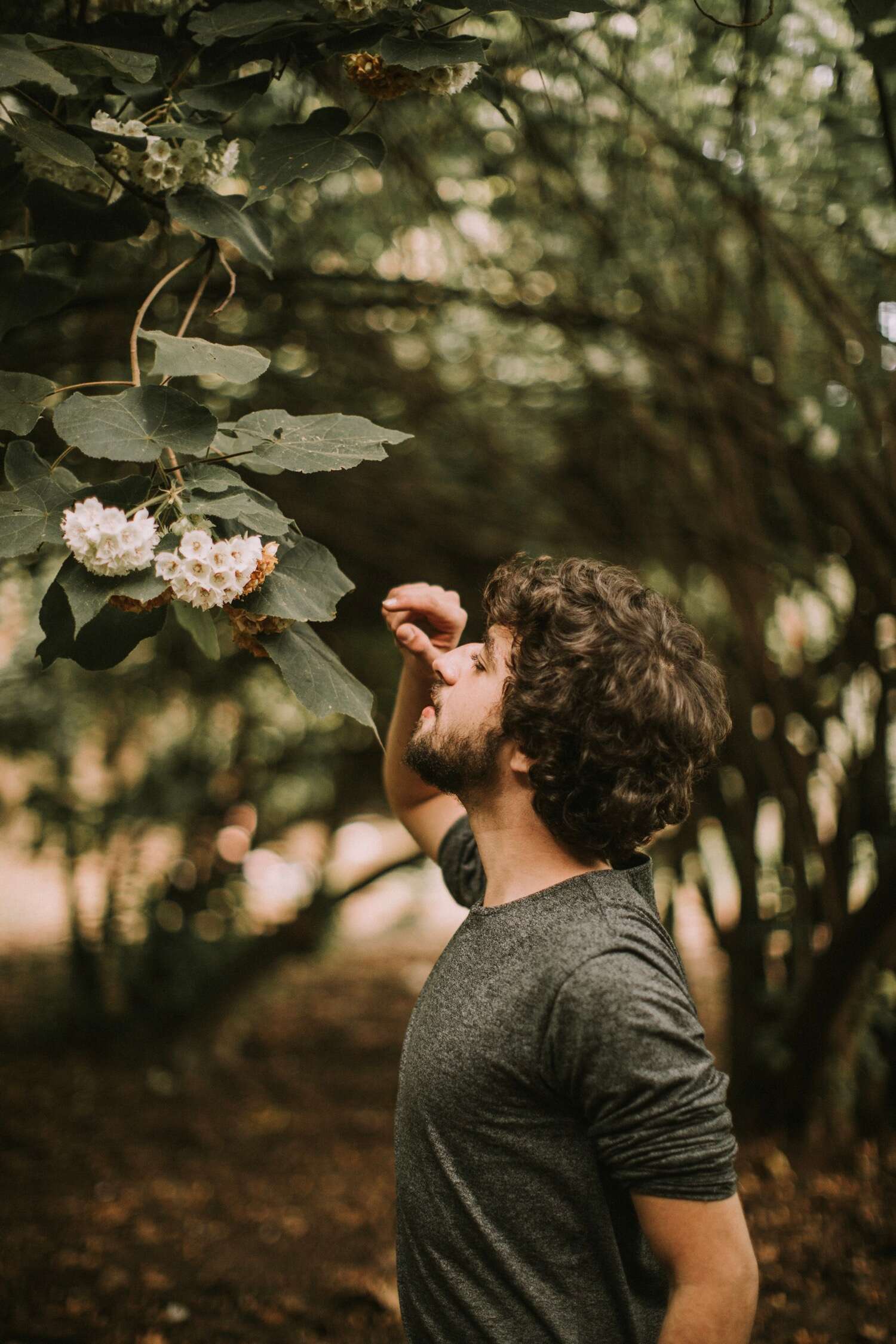 man-reaching-a-tree-2025-01-09-12-35-31-utcResized